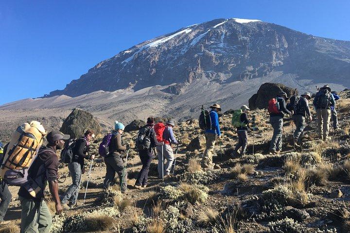 Mt. Kilimanjaro Climb, 7 Days Machame route