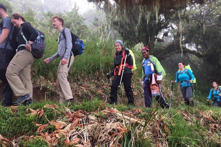 7-Day Kilimanjaro Climb Machame Route–The Best Path to Uhuru Peak