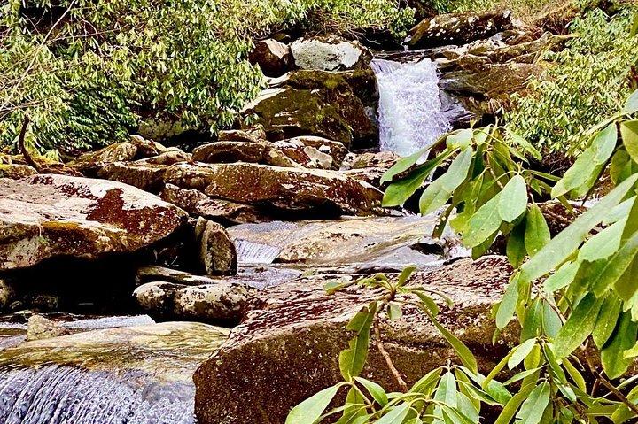 Chasing Waterfalls: A Smoky Mountain Guided Hike