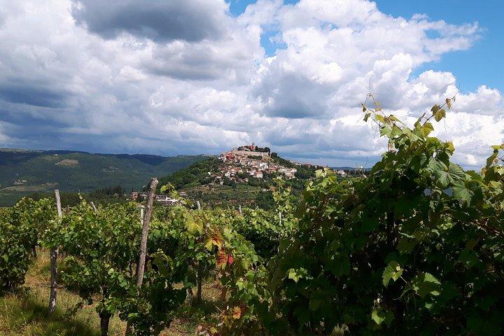 Wine Tour - The Best of Istria