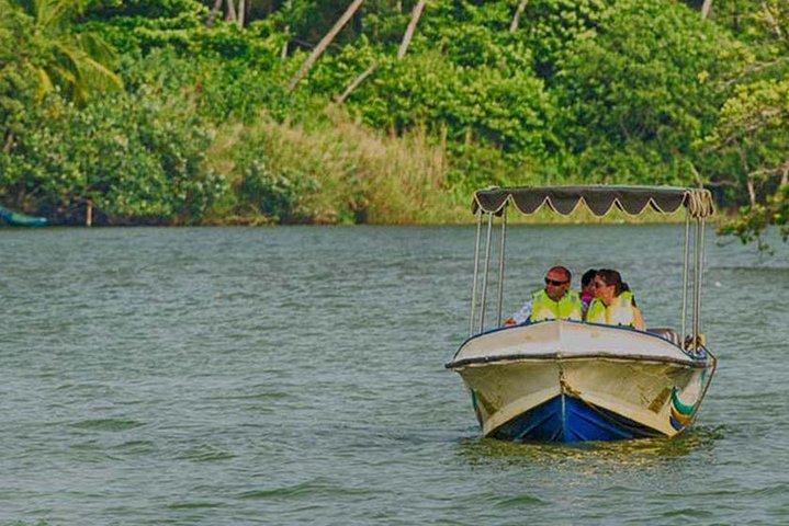 Madu River Safari at Balapitiya