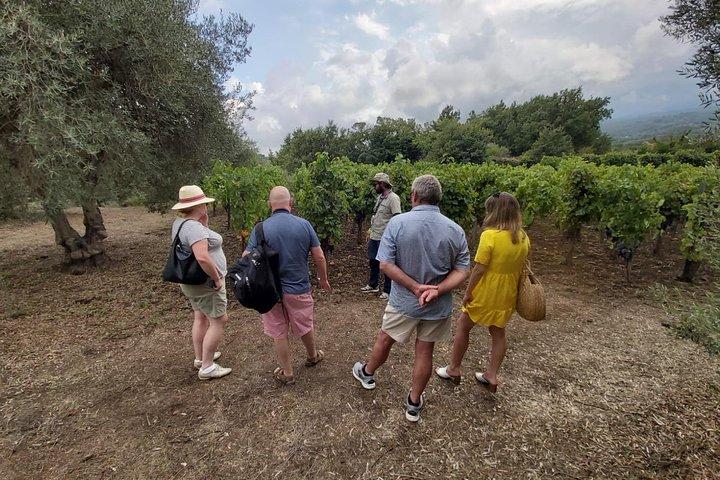 Etna Wineries Tour - Small Groups from Taormina