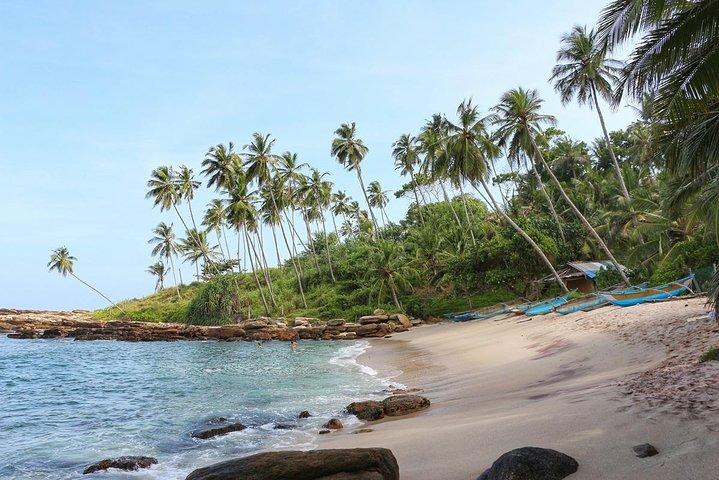 Airport Drop from Tangalle