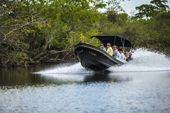 Lamanai Temples, River Wildlife Tour