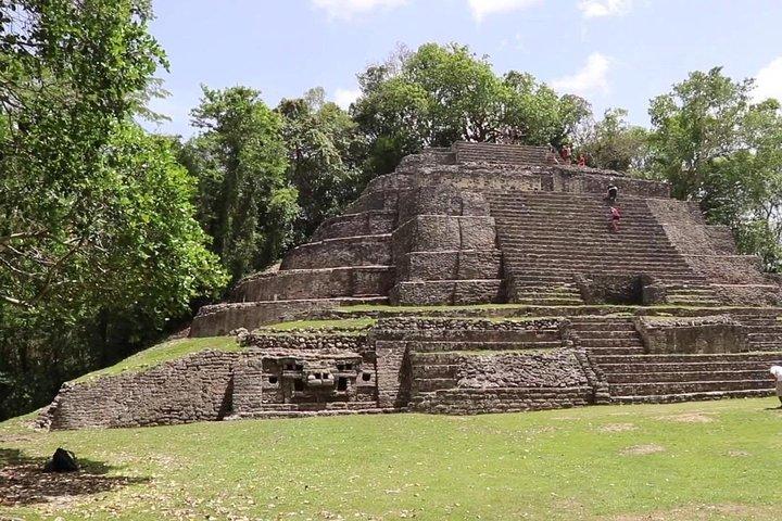 Lamanai Temples, River Wildlife Tour