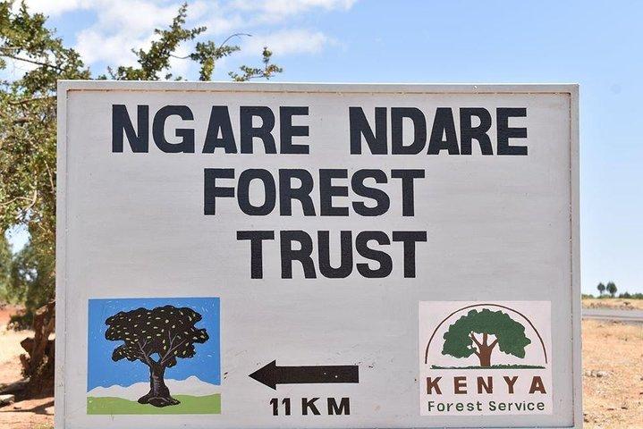 Ngare Ndare Day Trip