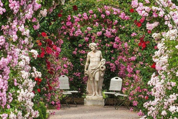Germany Day Trip with Baden-Baden & Black Forest from Strasbourg