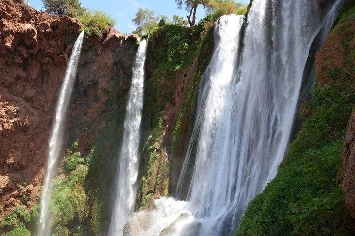 Private Ouzoud falls Tour with Local Guide -Trip from Marrakesh