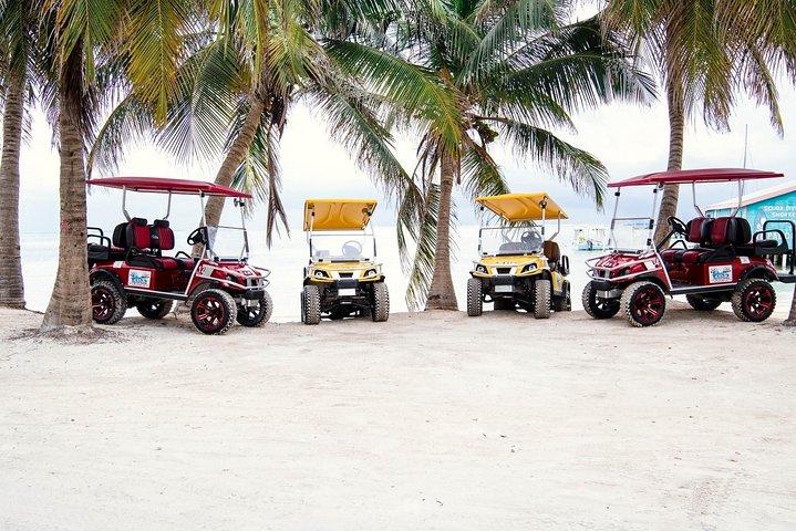 C&S (4 Seater) Golf Cart Rentals