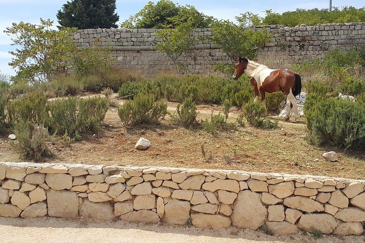 Konavle Countryside Private Tour