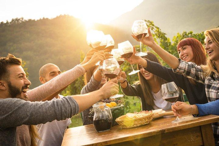 Peljesac Peninsula Wine Tasting Luxury Tour from Dubrovnik
