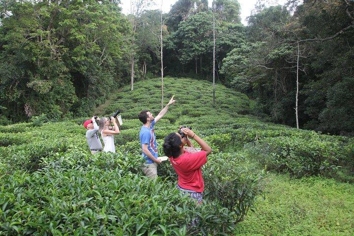 Forest waterfall Wellness Zone & Yoga Meditation,waterfall Bath.