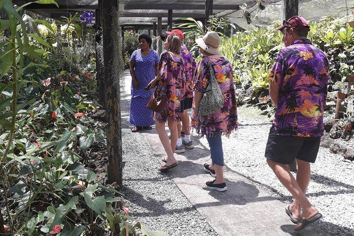 Nadi Sightseeing & Mud Pool Tour