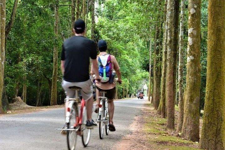 Angkor Sunrise Bike Tour with Breakfast and Lunch Included