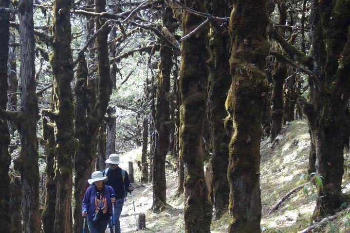 How to travel to Bhutan