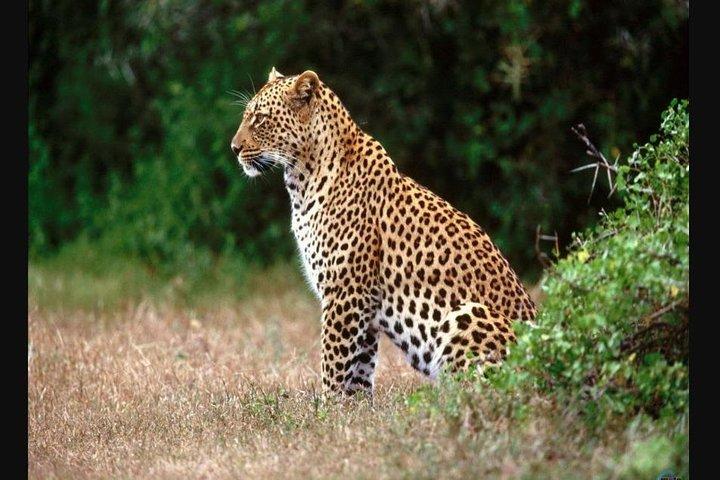 Cape Town to Durban & Garden Route - 7 day Private Safari