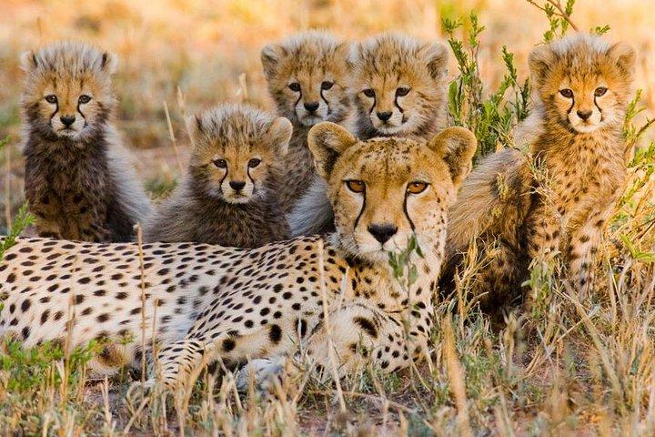 4 Days Touch of Wilderness – Mid-Range