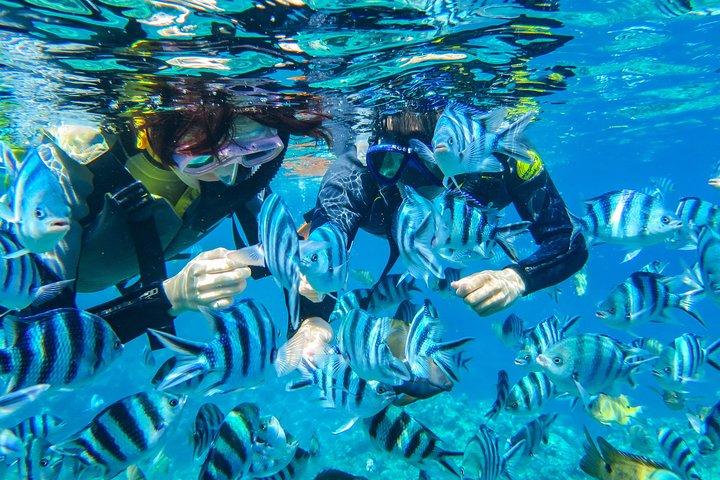 [Okinawa Blue Cave] Snorkeling with Private Guide+ Free Photos