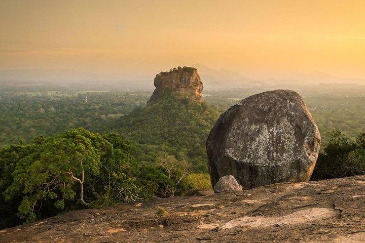 Sigiriya Rock and Dambulla Temple Day Tour From Pasikudah