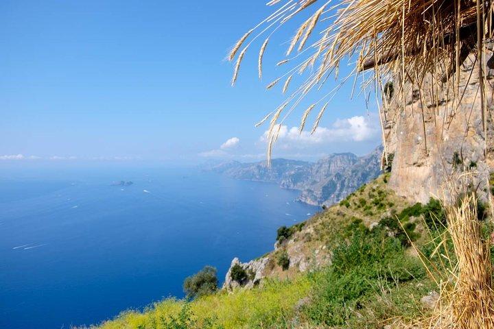 From SORRENTO Hike Path of the Gods with NINO & free Transfer