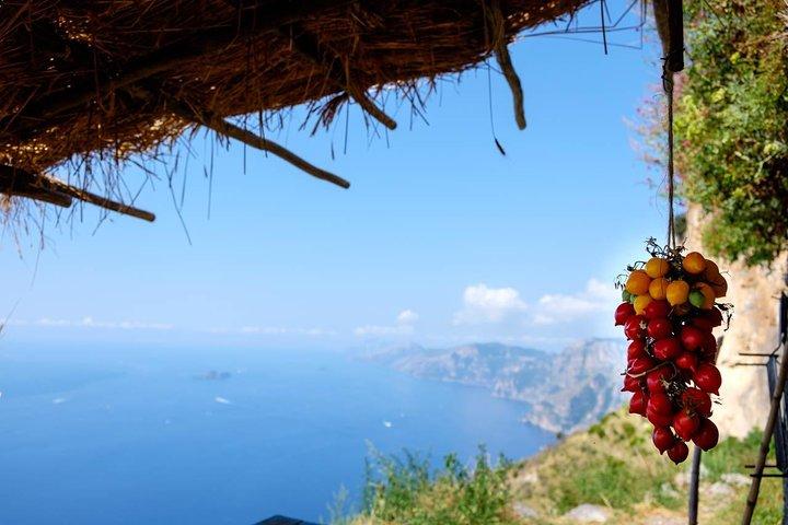 From SORRENTO Hike Path of the Gods with NINO & free Transfer