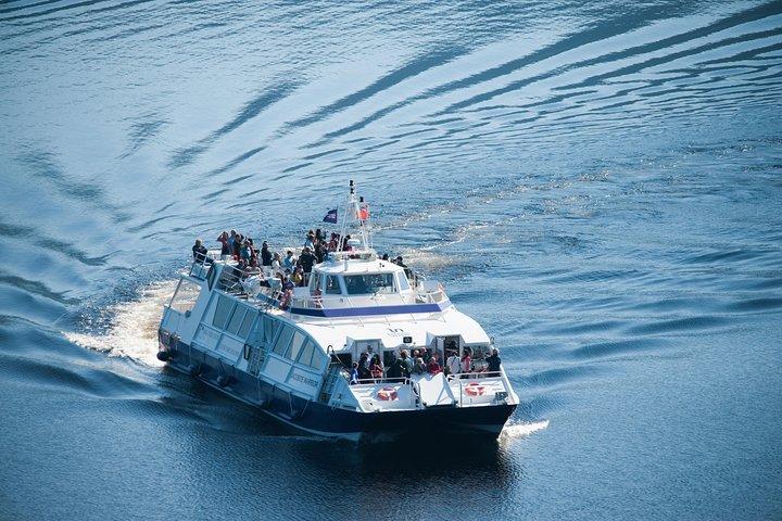 Loch Ness 1-Hour Cruise with Urquhart Castle Views