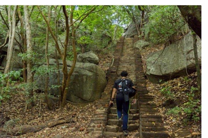 Sunrise or sunset tour pidurangala Rock and Sigiriya Rock