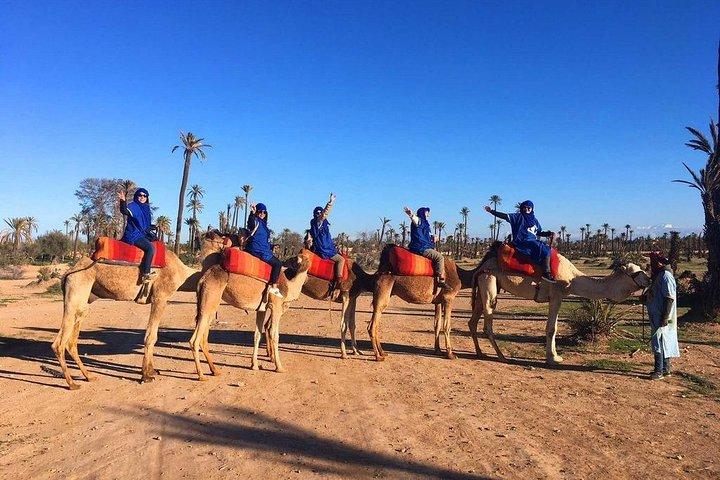 Sunset Camel Ride Tour In Marrakech Palm Groves