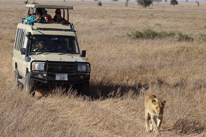 4Days Serengeti and Ngorongoro Budget Camping Safari from Arusha