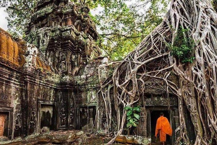 Angkor Wat Sunrise or Sunset Tour