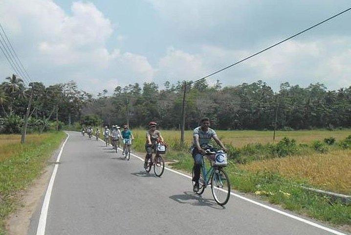 Lagoon and Village Cycling Tour from Galle / Unawatuna