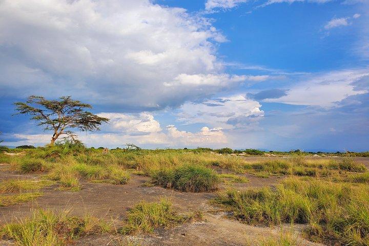 Kikuletwa Hot Springs