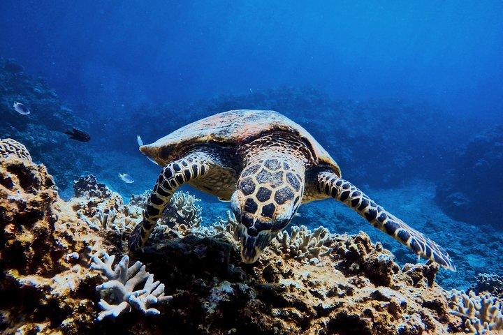 03 Days Sri Lanka Tour - Wild Life Hotspots