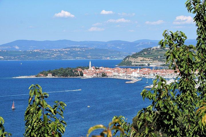 Piran & Panoramic Slovenian Coast - Small Group Tour from Trieste