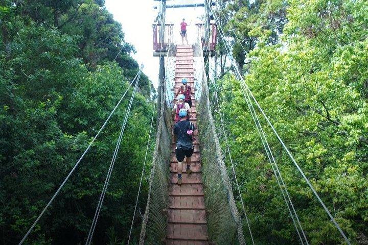 6 Dual-Zipline Mountain Adventure in Maui