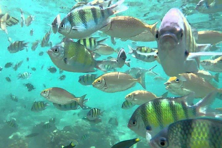 Samui Boat Charter, Private Half-Day 4 hours Koh Phangan Cruise from Koh Samui.