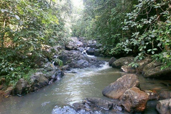 Mountain Bike Ride for 35 Km
