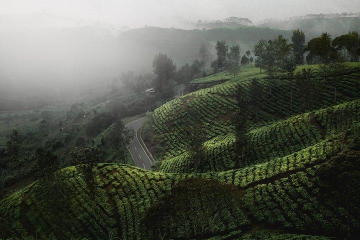07 Days Sri Lanka Tour - Splendid Ceylon