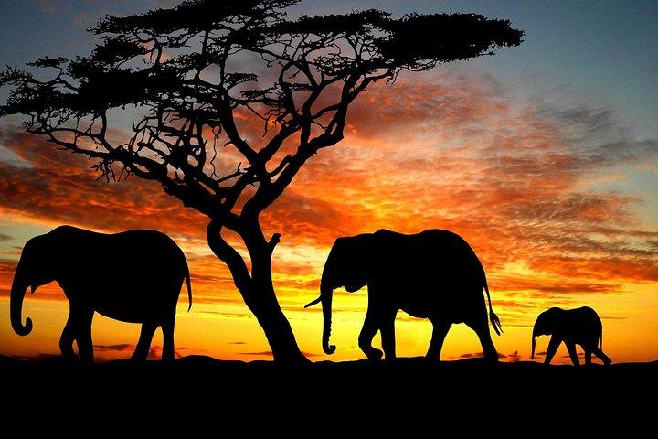 5 Days Lodge Safari - Lake Manyara, Serengeti, Ngorongoro, Tarangire.