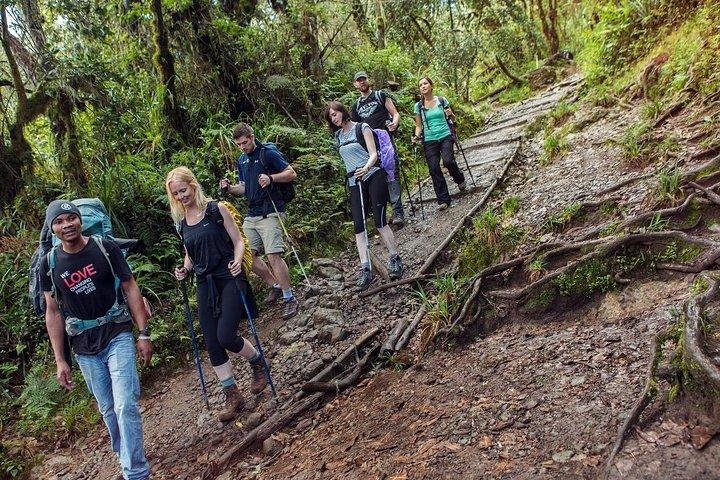 Mount Kilimanjaro 8-Days; Lemosho Route