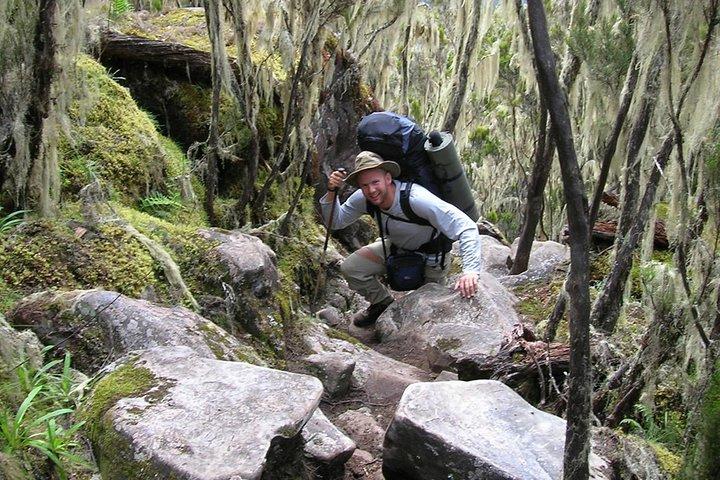 6-Day Kilimanjaro Umbwe Route–Steep,Adventurous, Challenging Path