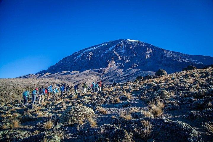 Mount Kilimanjaro Climb, 6 Days Rongai Route