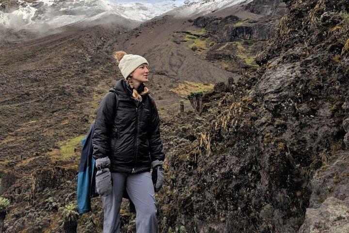 Mount Kilimanjaro Climb, 6 Days Rongai Route