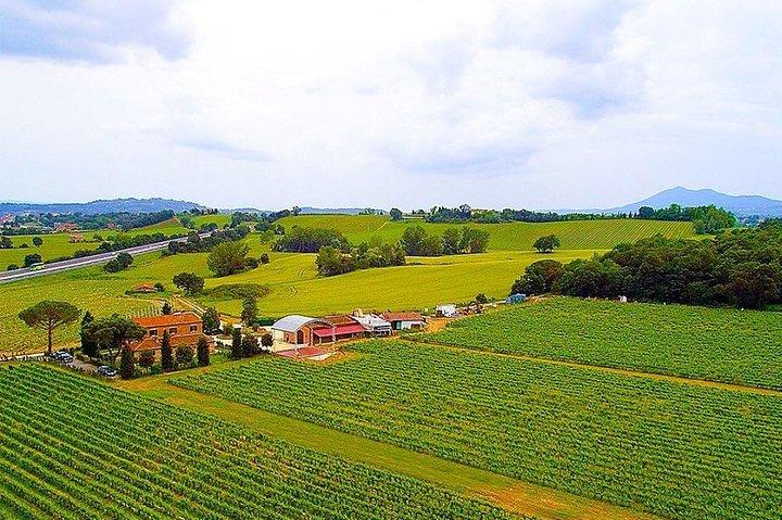 Enjoy a Wine Tasting after a cycling excursion in the magic of Tuscany