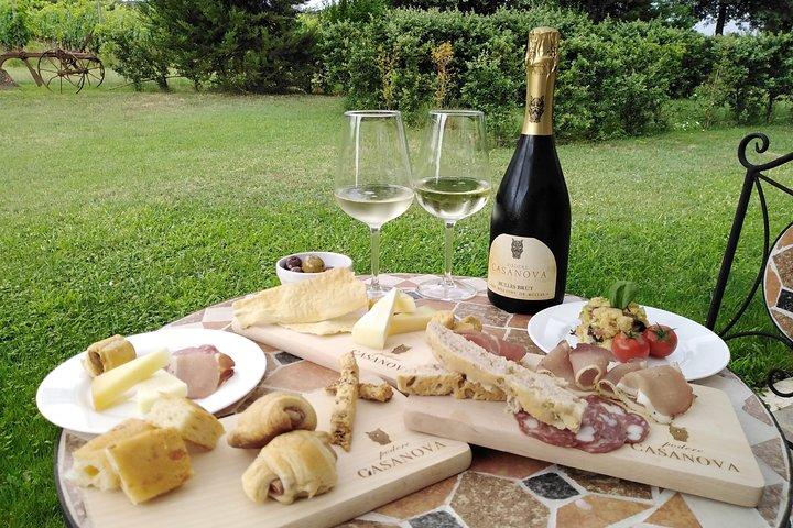 Enjoy a Wine Tasting after a cycling excursion in the magic of Tuscany