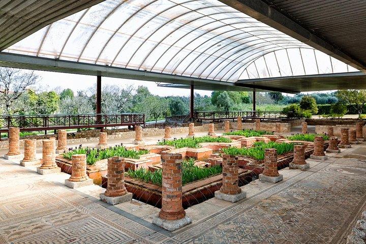 Conímbriga Roman Ruins & Museum | Private Tour
