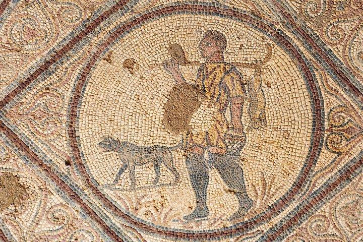 Conímbriga Roman Ruins & Museum | Private Tour