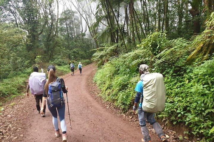 Kilimanjaro Climbing 5 days Marangu route