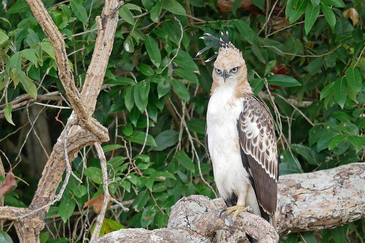 Wilpattu National Park Private Full Day Tour From Colombo