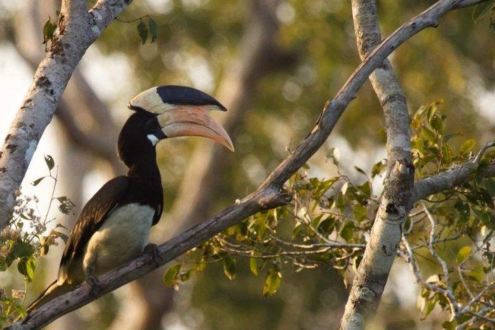 Wilpattu National Park Private Full Day Tour From Colombo